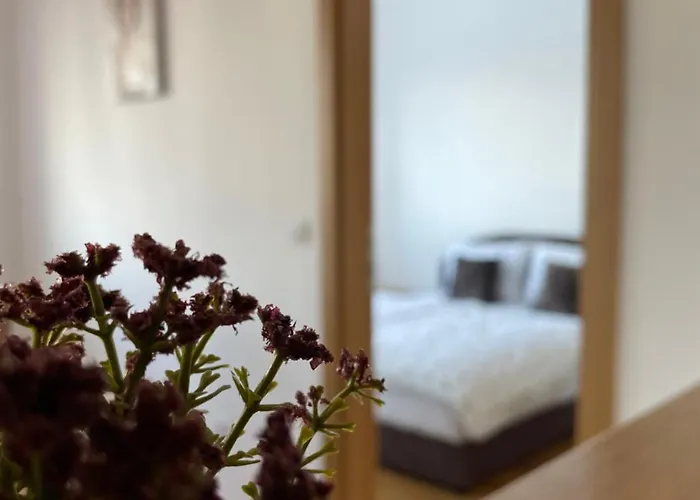 Apartman Blanco